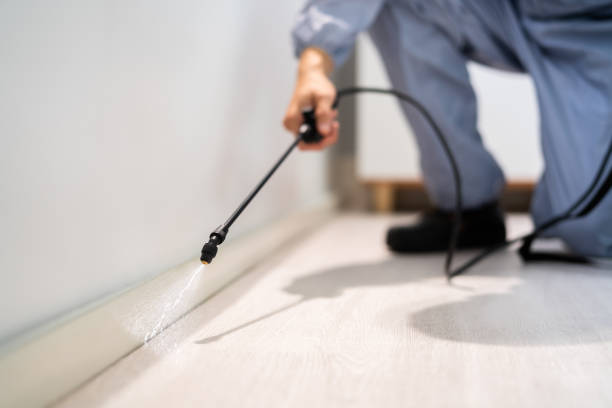 Certified termite inspector examining foundation in Freeport